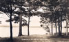 Lakes & Parks To 1939: Otsego Lake - Wah Wah Soo Drive - 1930's
