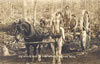 Miscellaneous To 1939: A Big Wheel used in logging - 1910