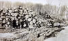 Miscellaneous To 1939: Logging Days Around Hartwick Pines - Early 1900's