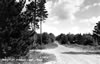 Lakes & Parks - 1940's: The Pines at Otsego Lake - 1940's