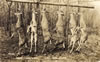 Miscellaneous - 1940's: Deer Pole