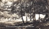 Motels & Resorts - 1940's: Camping at Compton's Resort - Otsego Lake - 1940's