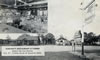 Postcards - 1950's: Schlang's Restaurant  Cabins