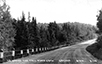 Postcards - 1950's: A highway somewhere in Gaylord. Probably either M-32 or US-27