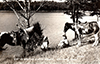 Postcards - 1950's: Gay El Rancho Guest Ranch - Lakeside on Horseback - Mid 1950's