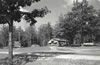 Postcards - 1950's: Pat's Nutty Pine Cabins