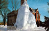 Postcards 1960's: Ice Tree at the Court House - Mid 1960's