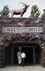 Postcards 1960's: Call of the Wild Entrance