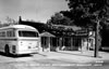 Postcards 1960's: Greyhound at Pop & Mom's Star Restaurant - 1962