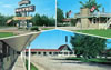 Postcards 1960's: Alpine Motel - 1960's