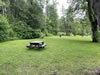 Picnic Gallery