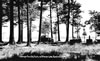 Lakes & Parks To 1939: Otsego County Park - 1930's