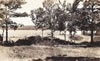 Lakes & Parks To 1939: Otsego Lake State Park - Postmarked August 8, 1931