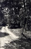 Motels & Resorts - 1940's: Arbutus Beach 2-Track
