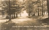 Postcards - 1950's: Otsego County Park 1951