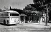 Postcards - 1950's: Greyhound Bus at Pop & Mom's -1950s