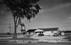 Postcards - 1950's: Vin's Rustic Bar - US-27 North