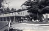 Postcards - 1950's: AuSable Resort - Postmarked September 6, 1959