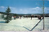Postcards - 1950's: Otsego Ski Club - 1959