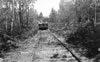 Postcards - 1950's: Snow Valley Train