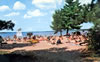 Postcards 1960's: Otsego County State Park - 1960's